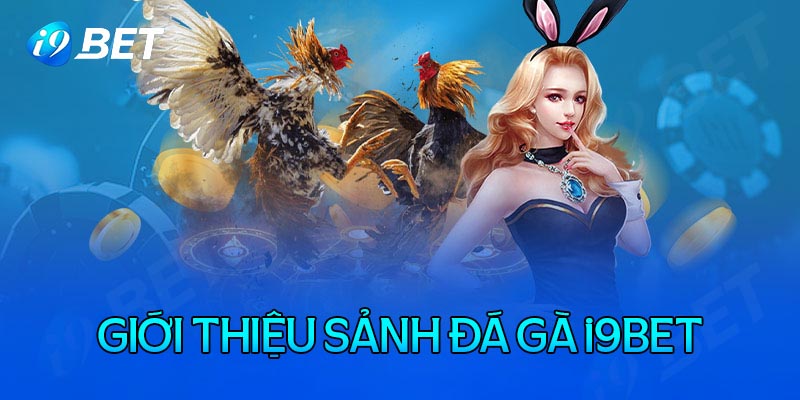 Game đá gà i9bet online là gì?